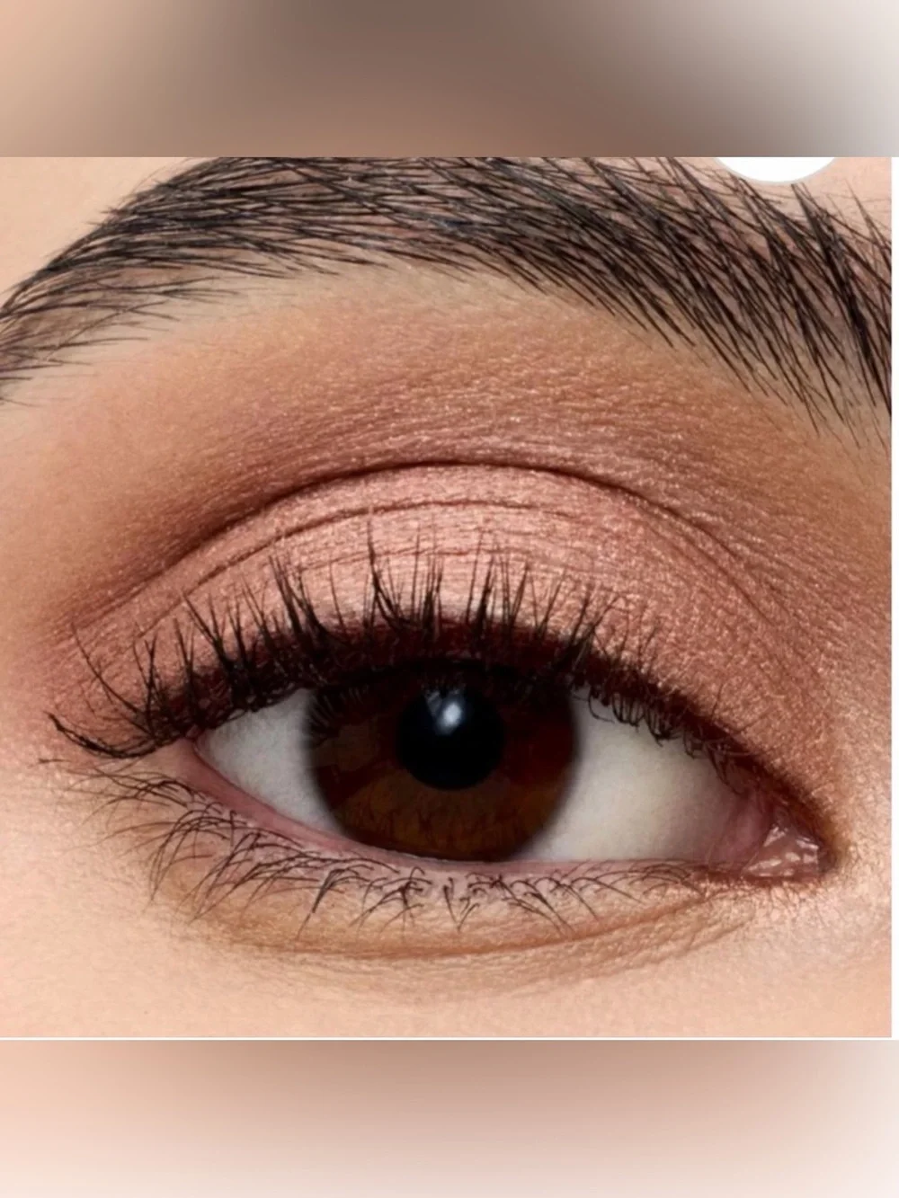 Laura Mercier Caviar Stick Eye Shadow in Rosegold 0.5g NIB